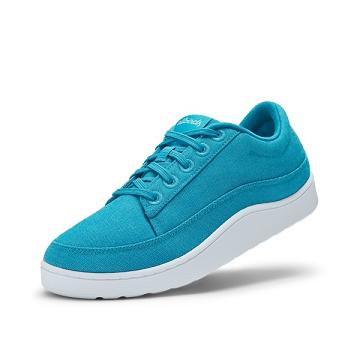 Baskets Allbirds Tela Pacers Femme Turquoise | FR4643BC