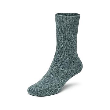 Chaussettes Allbirds Trino® Cozy Crew Femme Vert | FR4266AP