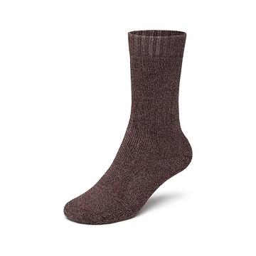 Chaussettes Allbirds Trino® Cozy Crew Homme Rouge | FR4712IS