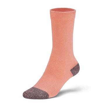 Chaussettes Allbirds Trino® Tubers Femme Orange | FR4262GL