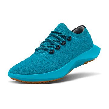 Chaussures Imperméables Allbirds Laine Dasher Mizzles Homme Turquoise | FR4804AP