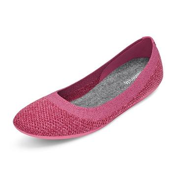 Chaussures Plates Allbirds Tree Breezers Lux Femme Rose | FR4383BC