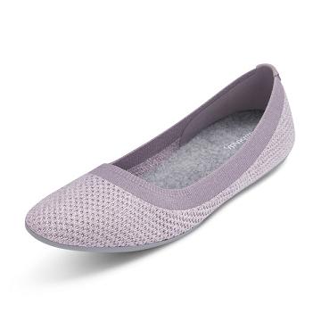 Chaussures Plates Allbirds Tree Breezers Femme Violette | FR4389KI