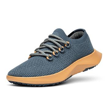 Chaussures Running Allbirds Tree Dasher 2 Femme Bleu Jaune | FR4435BC