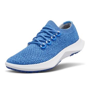 Chaussures Running Allbirds Tree Dasher 2 Femme Bleu | FR4439ZG