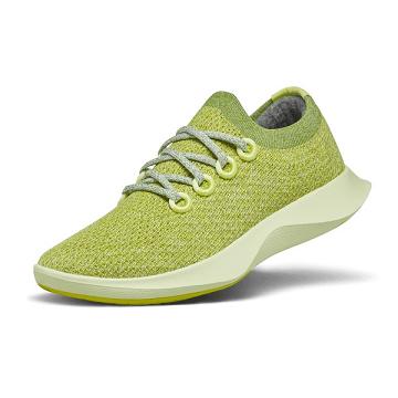 Chaussures Running Allbirds Tree Dasher 1 Femme Vert | FR4473SO