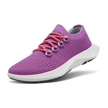 Chaussures Running Allbirds Tree Dasher 2 Homme Violette | FR4866YU