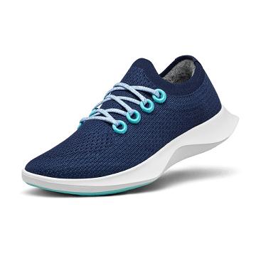 Chaussures Running Allbirds Tree Dasher 1 Homme Bleu Blanche | FR4890UT