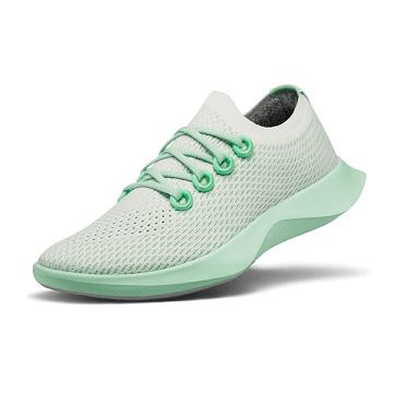 Chaussures Running Allbirds Tree Dasher 1 Homme Blanche Vert | FR4893RW