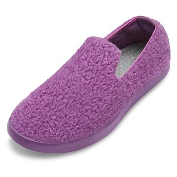 Chaussures Slip On Allbirds Laine Lounger Fluffs Homme Violette | FR4967TV