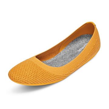 Chaussures Slip On Allbirds Tree Breezers Femme Jaune | FR4526AP