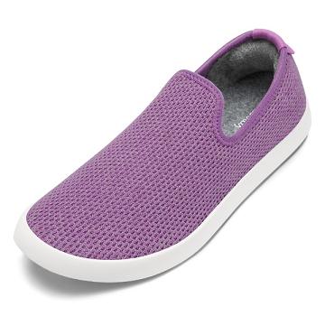 Chaussures Slip On Allbirds Tree Loungers Homme Violette Blanche | FR4954AP