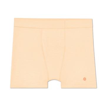 Sous Vêtement Allbirds Trino® Boxer Brief Homme Marron | FR4783FM