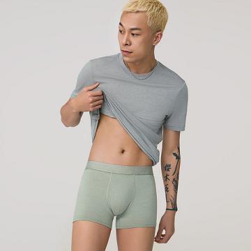 Sous Vêtement Allbirds Trino® Trunk Homme Vert | FR4775GL