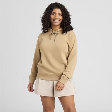 Sweat À Capuche Allbirds R&R Femme Marron | FR4276QZ