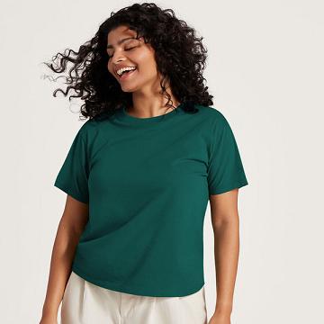 T Shirts Allbirds Allgood Coton Femme Turquoise | FR4307GL