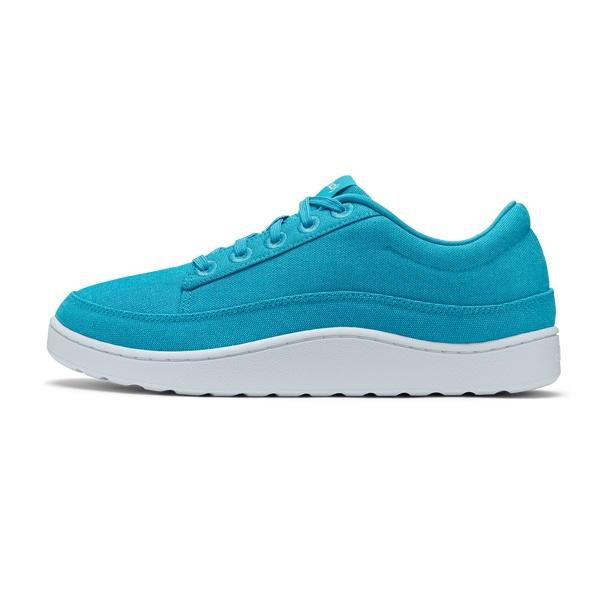 Baskets Allbirds Tela Pacers Femme Turquoise | FR4643BC