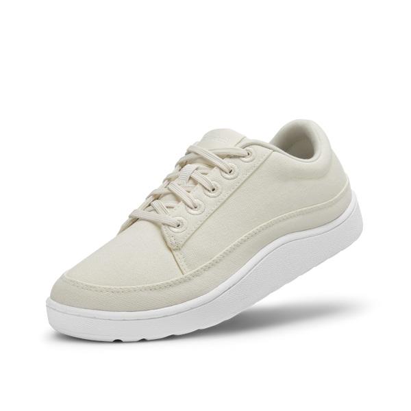 Baskets Allbirds Tela Pacers Homme Beige Blanche | FR5051FM