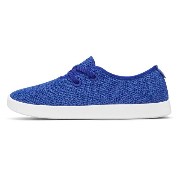 Baskets Allbirds Tree Skippers Homme Bleu | FR5041YU