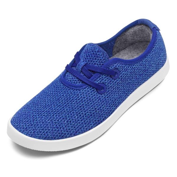 Baskets Allbirds Tree Skippers Homme Bleu | FR5041YU