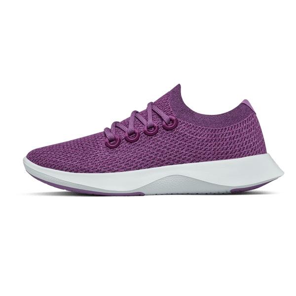 Chaussures Running Allbirds Tree Dasher 1 Homme Violette | FR4883FM