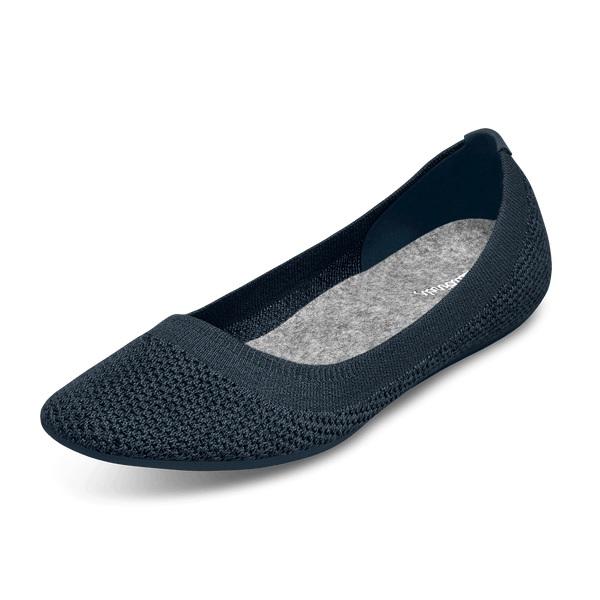 Chaussures Slip On Allbirds Tree Breezers Femme Bleu Marine | FR4517DN