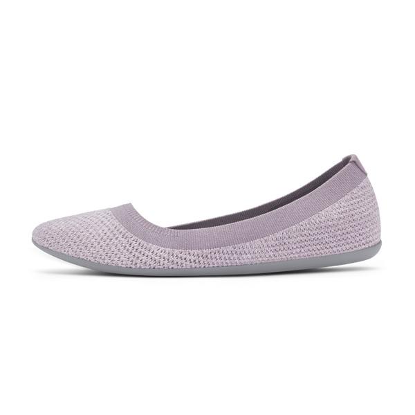 Chaussures Slip On Allbirds Tree Breezers Femme Violette | FR4527PQ