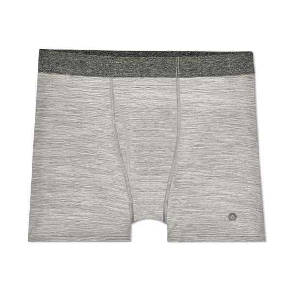 Sous Vêtement Allbirds Trino® Boxer Brief Homme Grise | FR4784DN